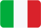 Audit companies Italiano